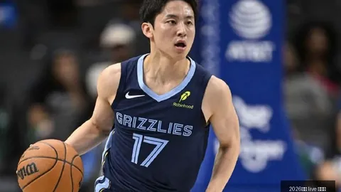 新西兰总理拉克森与李强总理通话：2026深度对话解析